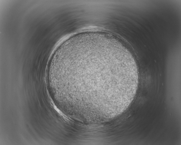 X0000085061421200703261152