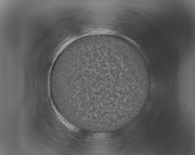 X0000085061423200703261152