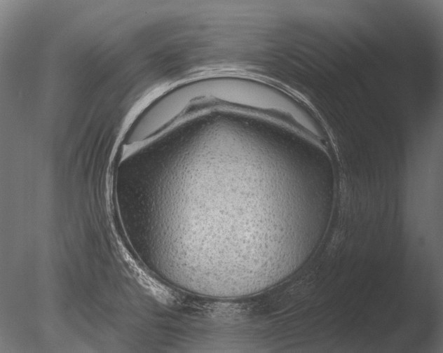 X0000085061424200703261152