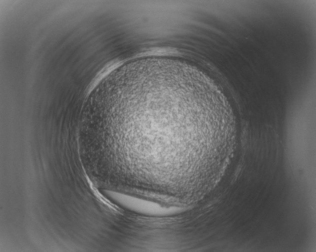 X0000085061425200703261152