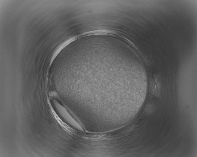 X0000085061426200703261152