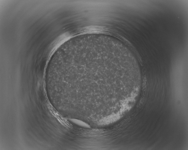 X0000085061427200703261152