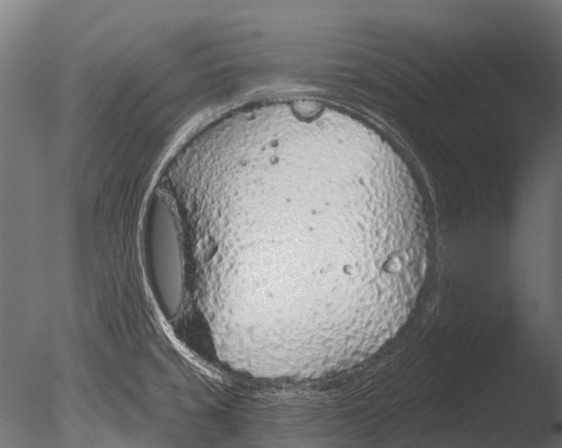 X0000085061429200703261152