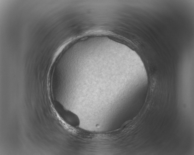 X0000085061430200703261152