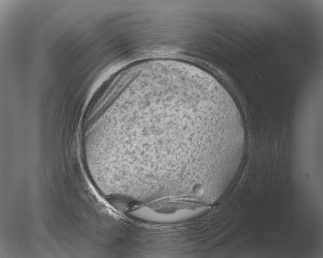 X0000085061432200703261153