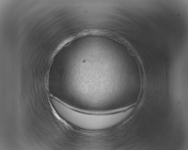 X0000085061433200703261153