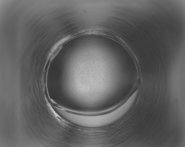 X0000085061434200703261153