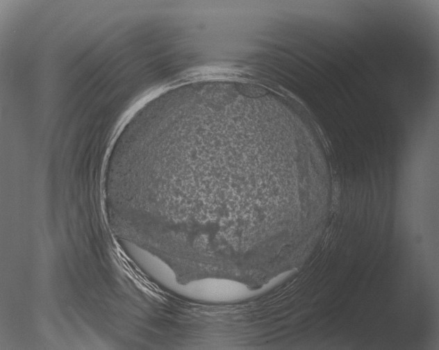 X0000085061435200703261153