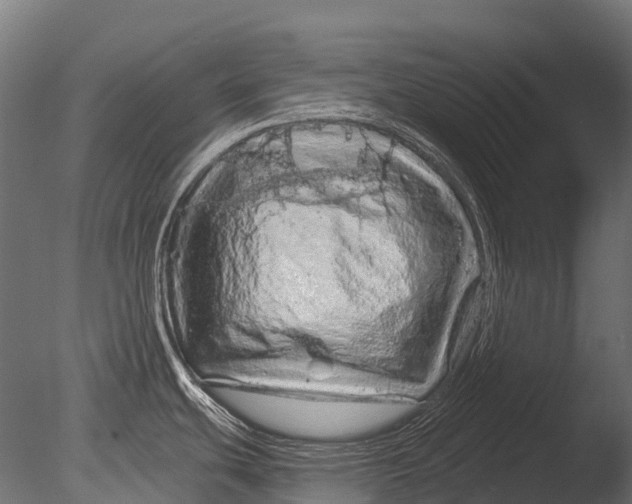 X0000085061439200703261153