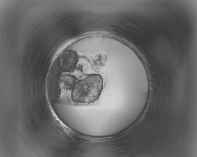 X0000085061440200703261153