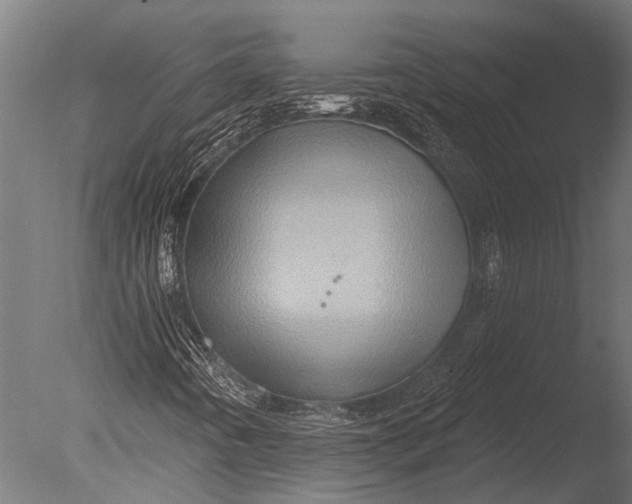 X0000085061442200703261152