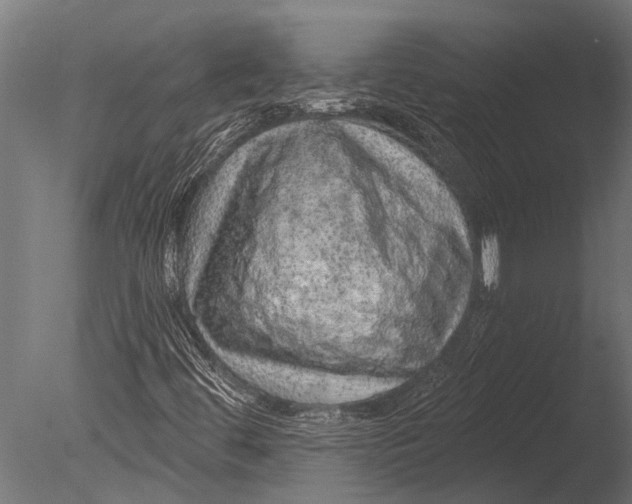 X0000085061444200703261152