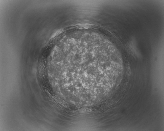 X0000085061446200703261152