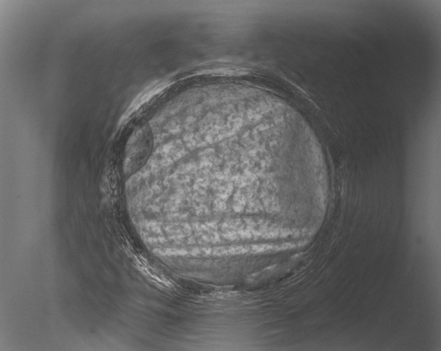 X0000085061448200703261152