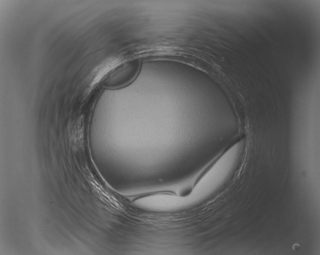 X0000085061450200703261152