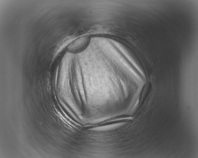 X0000085061452200703261152