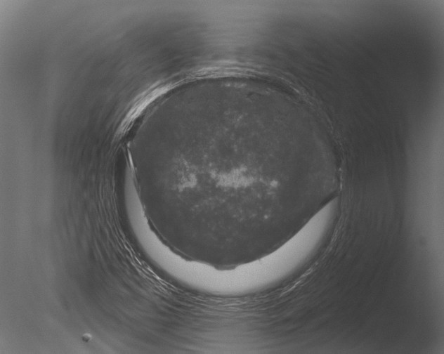 X0000085061453200703261152