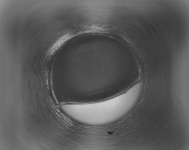 X0000085061455200703261152