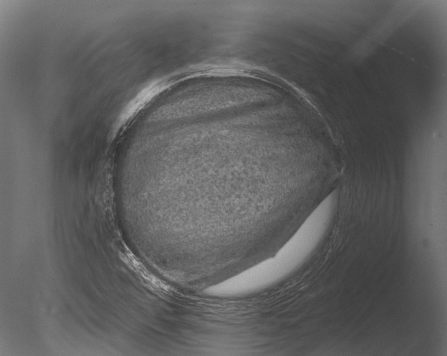 X0000085061456200703261152