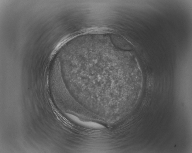 X0000085061459200703261152