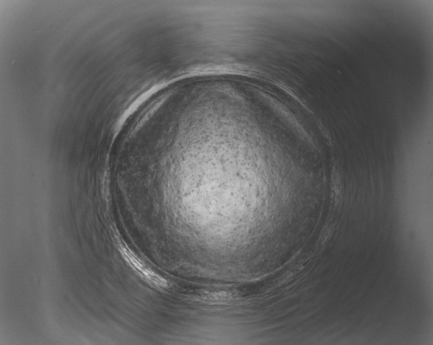 X0000085061460200703261151