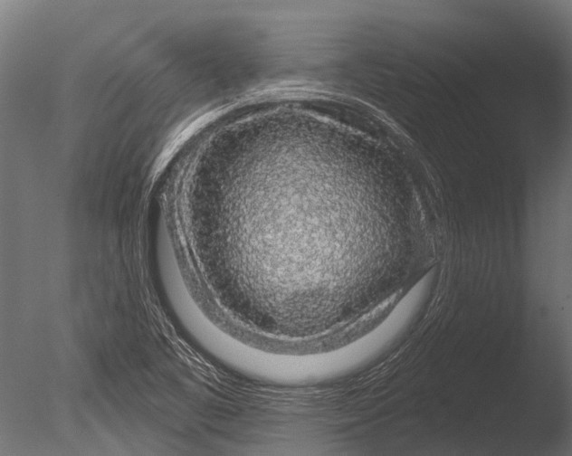 X0000085061461200703261151