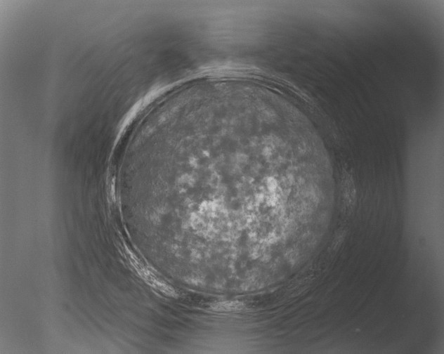 X0000085061462200703261151