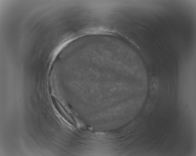 X0000085061463200703261151