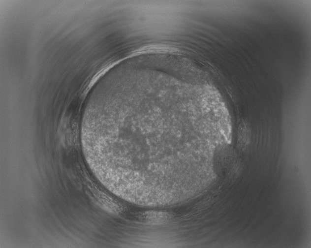 X0000085061465200703261151