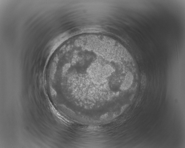 X0000085061466200703261151