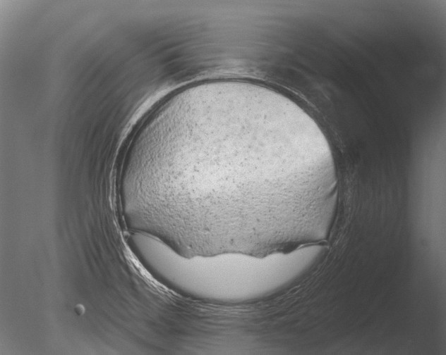 X0000085061468200703261151