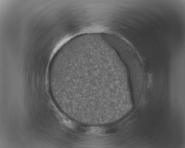 X0000085061469200703261151