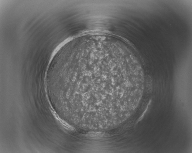 X0000085061474200703261151