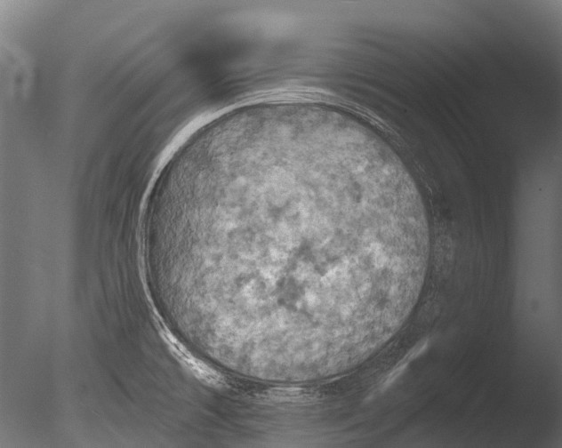 X0000085061478200703261151