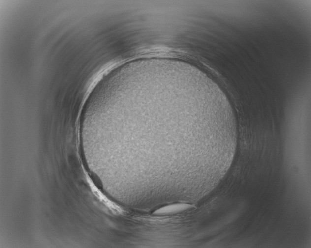 X0000085061479200703261151