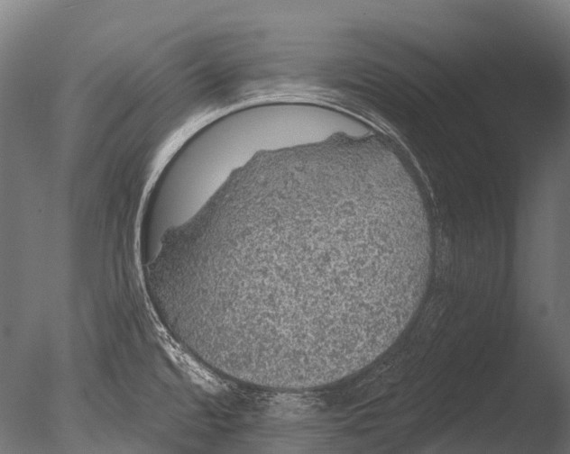 X0000085061480200703261151