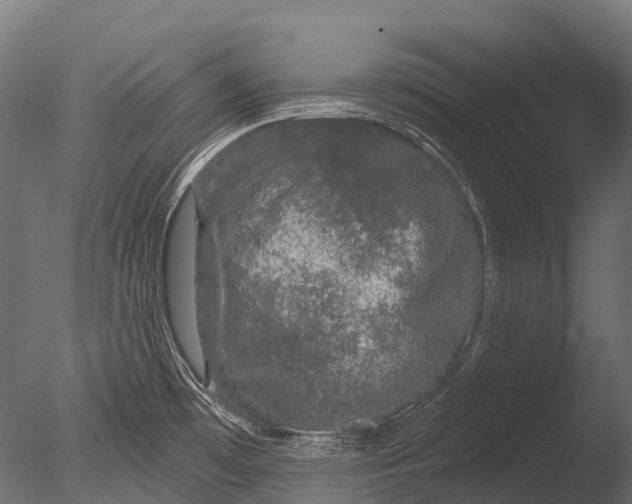 X0000085061481200703261151