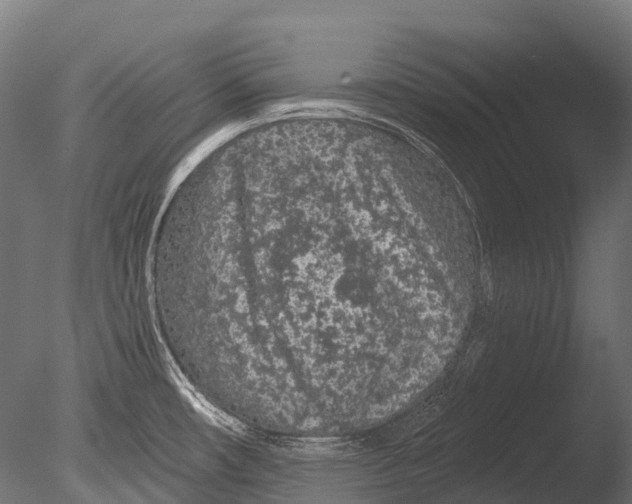 X0000085061482200703261151