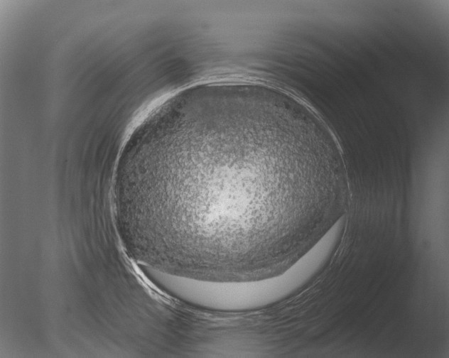 X0000085061485200703261151