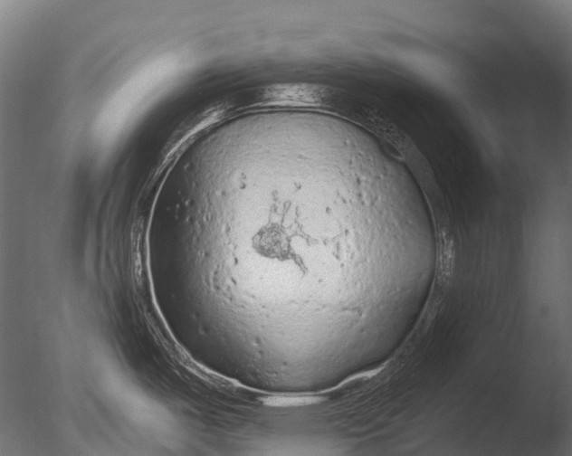 X0000085061487200703261151