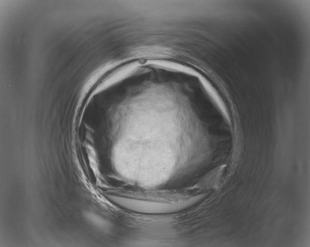 X0000085061488200703261151