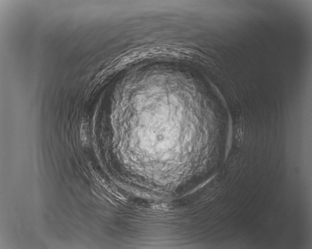 X0000085061490200703261150