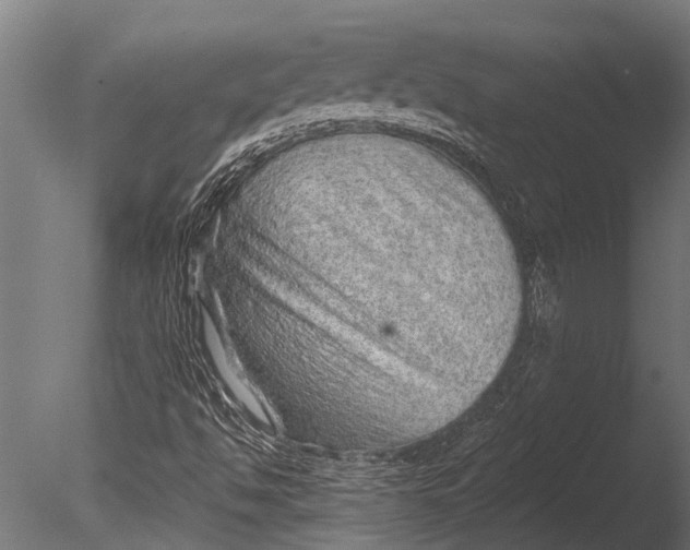 X0000085061494200703261150