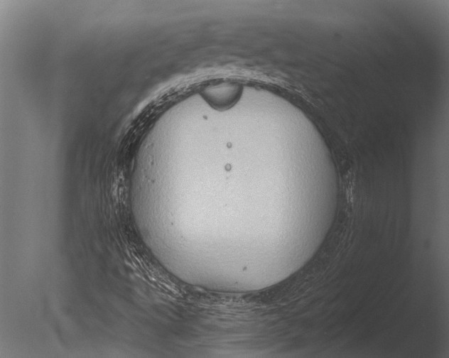 X0000085061495200703261150