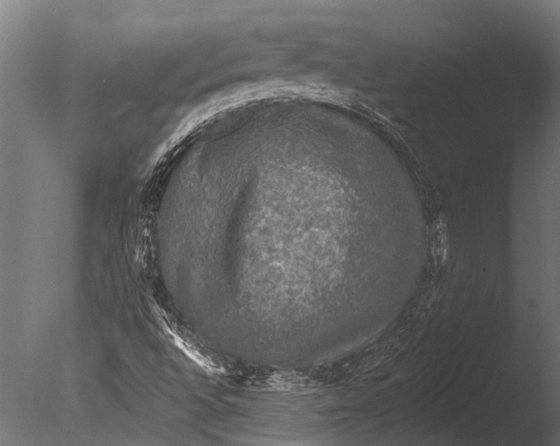 X0000085061496200703261150