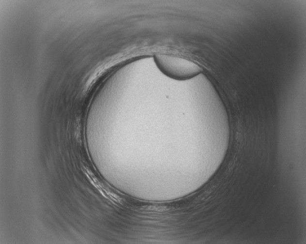 X0000085061499200703261150