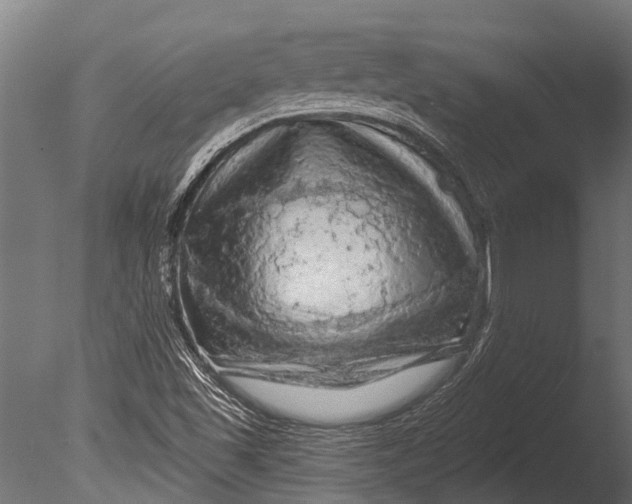 X0000085061501200703261150