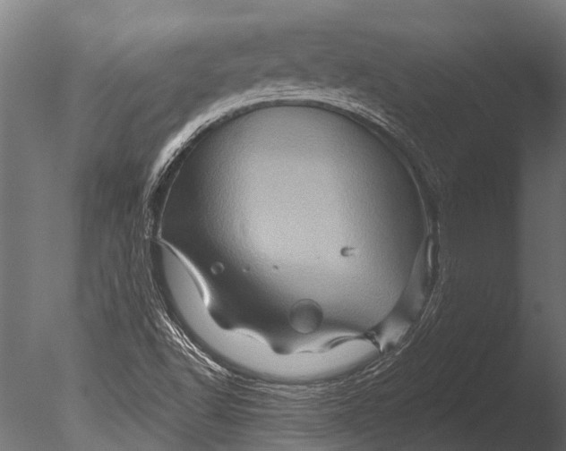 X0000085061502200703261150