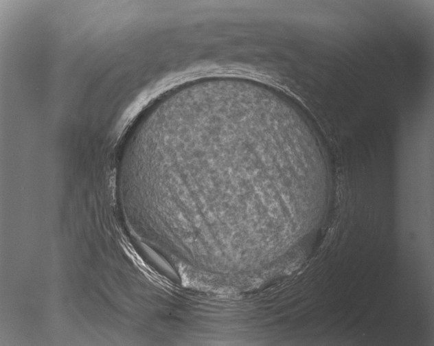 X0000085061503200703261150