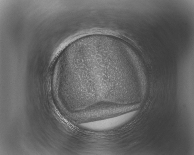 X0000085061504200703261150